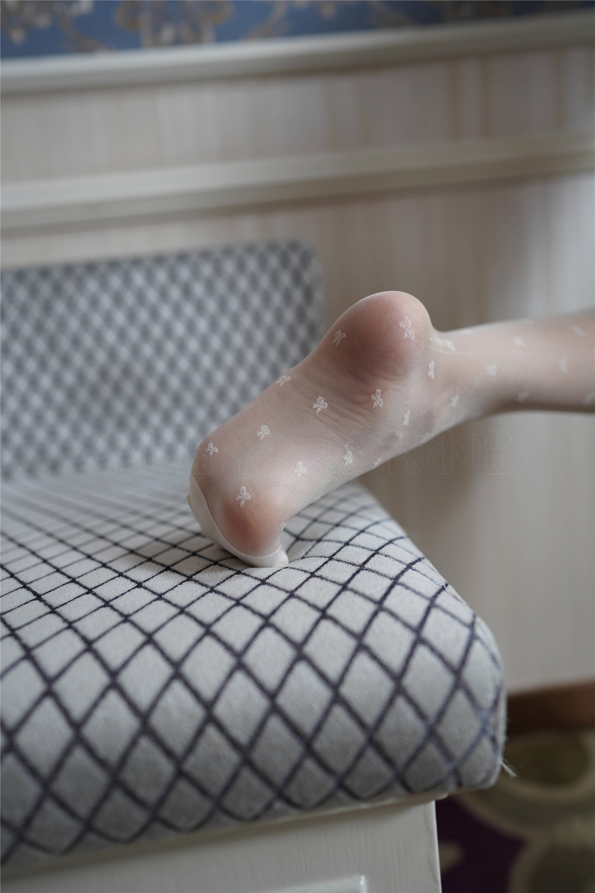 kittyWawa袜小喵  KT239 好久不见！白丝喵